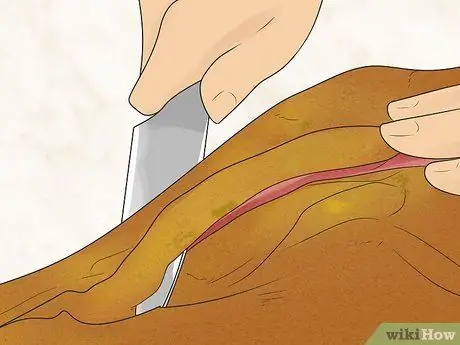 Магазин Прошутто Нога Шаг 10