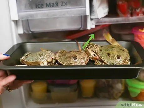 Приготовить краба Шаг 1