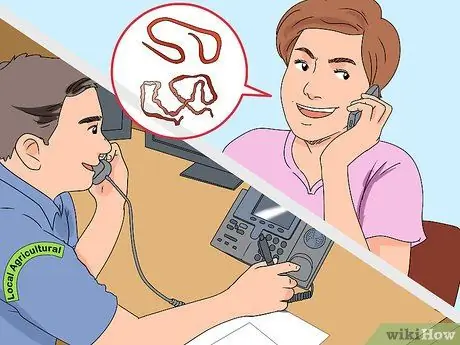 Червячки Шаг 12