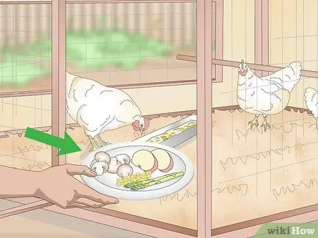 Угостить шмеля у кур Шаг 12