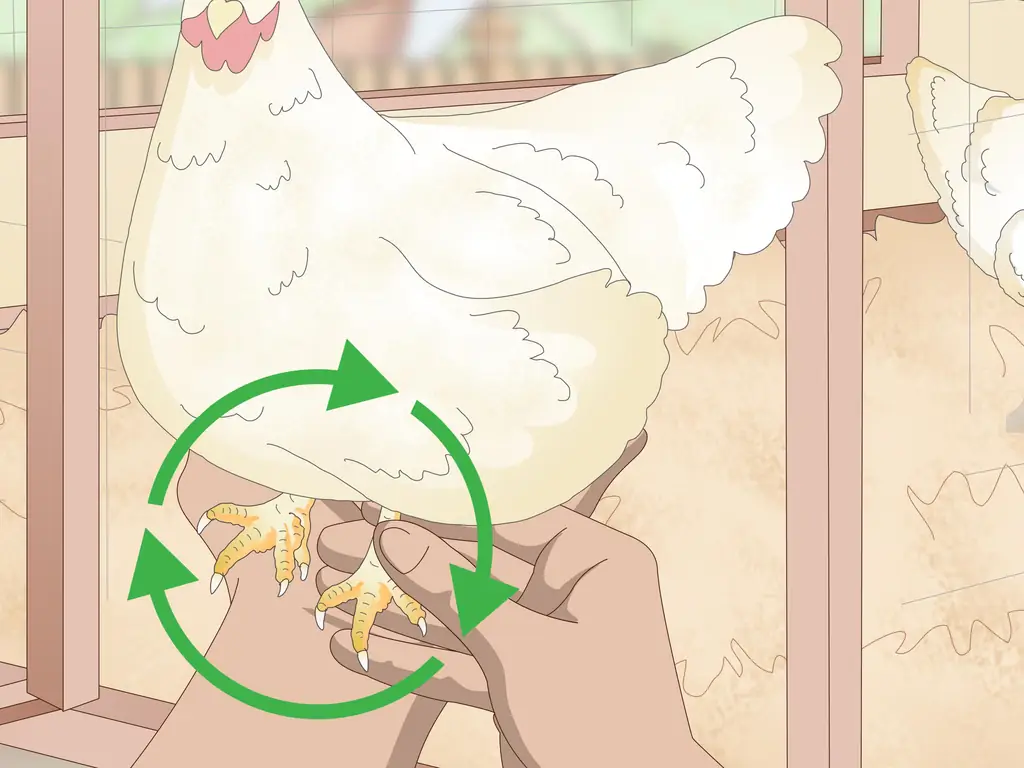 3 способа избавиться от шмеля у кур