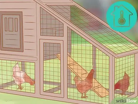 Помогите заклеванному цыпленку с раной Шаг 13