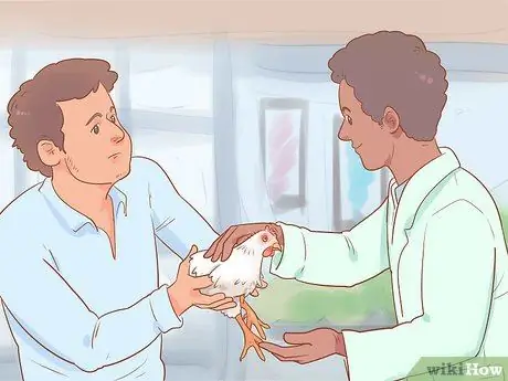 Помогите заклеванному цыпленку с раной Шаг 6