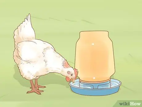 Помогите заклеванному цыпленку с раной Шаг 9