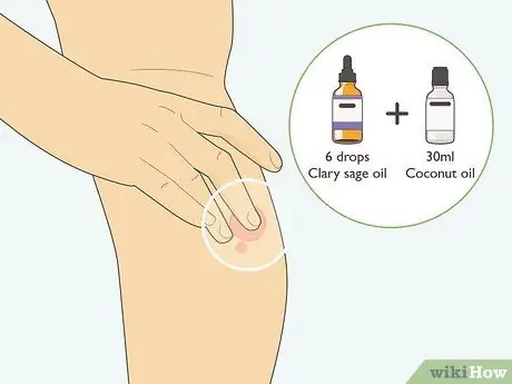 Используйте Clary Sage, шаг 2