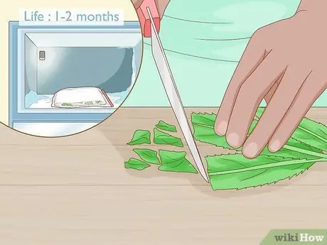 Выращивание Eryngium Foetidum Шаг 15