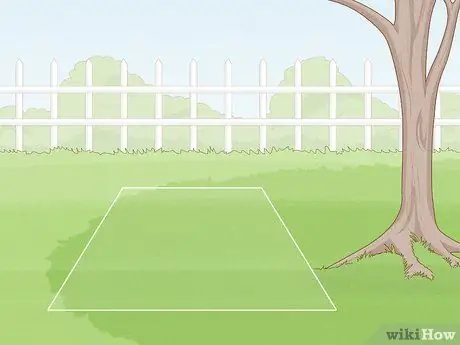 Выращивание Eryngium Foetidum Шаг 6