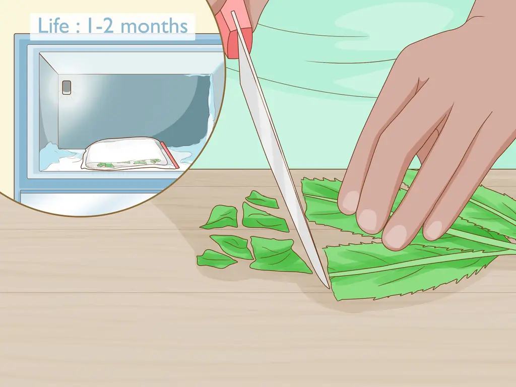 4 способа выращивания Eryngium Foetidum