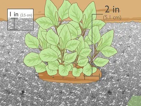 Водяные травы Шаг 10