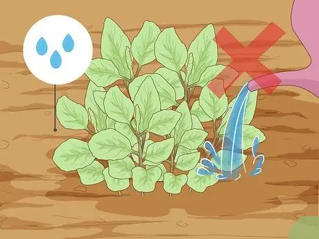 Водные травы Шаг 3