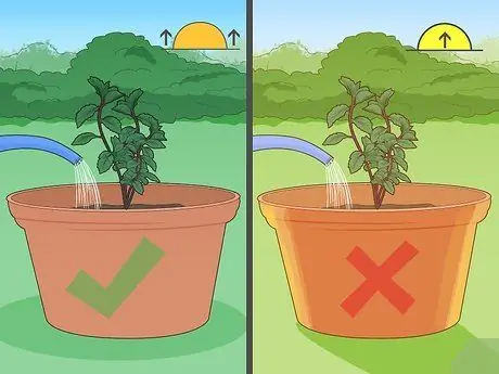 Водные травы Шаг 4