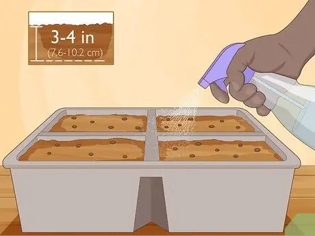 Водные травы Шаг 5