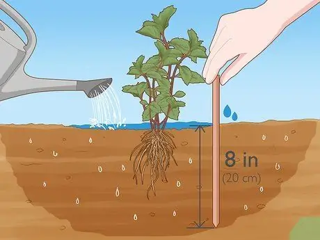 Водные травы Шаг 7