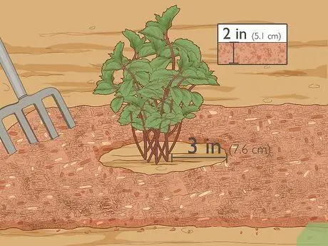 Водные травы Шаг 9