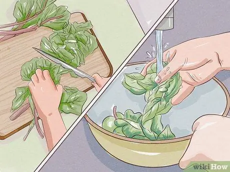 Чистый мангольд Шаг 3