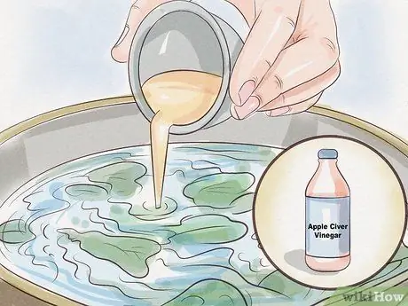 Чистый мангольд Шаг 5