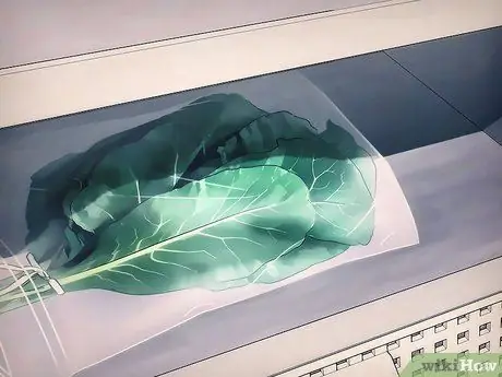 Купить Collard Greens Step 7