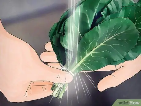 Купить Collard Greens Step 8