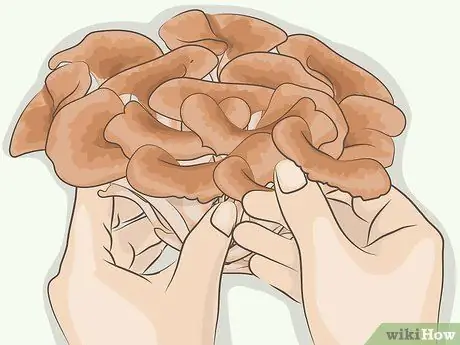 Приготовить майтаке, шаг 2