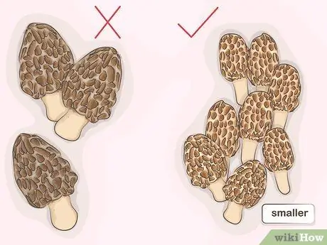 Готовим со сморчками, шаг 2