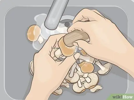 Готовим грибы-ежики Шаг 2