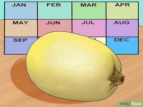 Купить спагетти-сквош Step 4