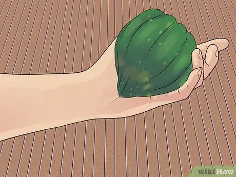 Купить Acorn Squash Step 2