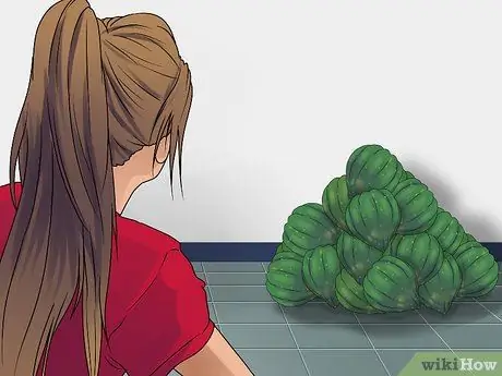 Купить Acorn Squash Step 6