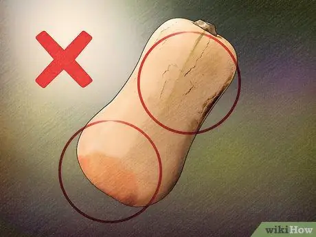 Выберите между зимними кабачками, шаг 4