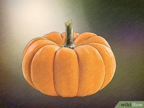 Выберите между зимними кабачками, шаг 5