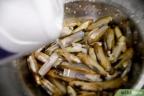 Готовьте моллюсков с бритвой, шаг 3