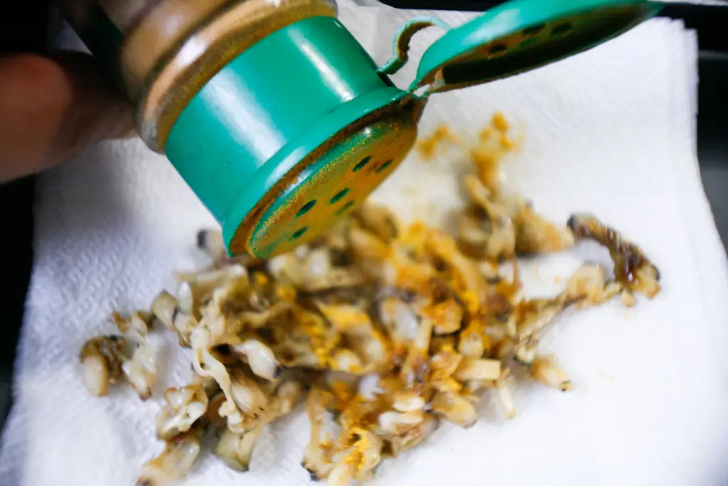 Как приготовить бритвенных моллюсков: 13 шагов (с иллюстрациями)