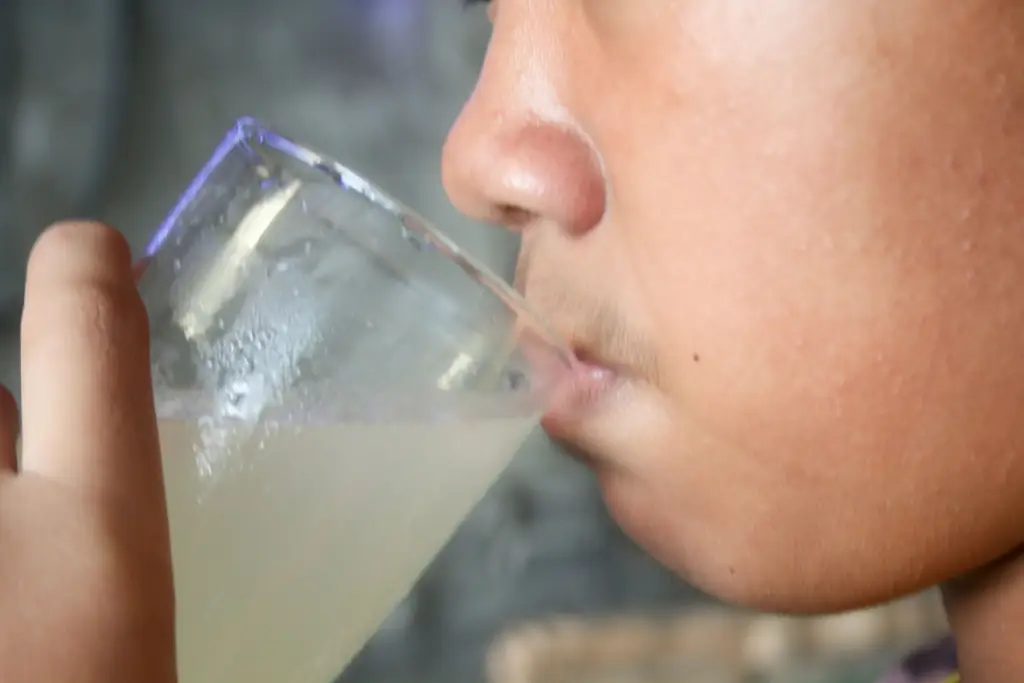 4 способа приготовления сока из редьки