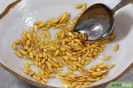 Приготовить дыню Шаг 11