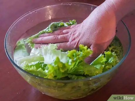 Приготовить эскарол, шаг 1