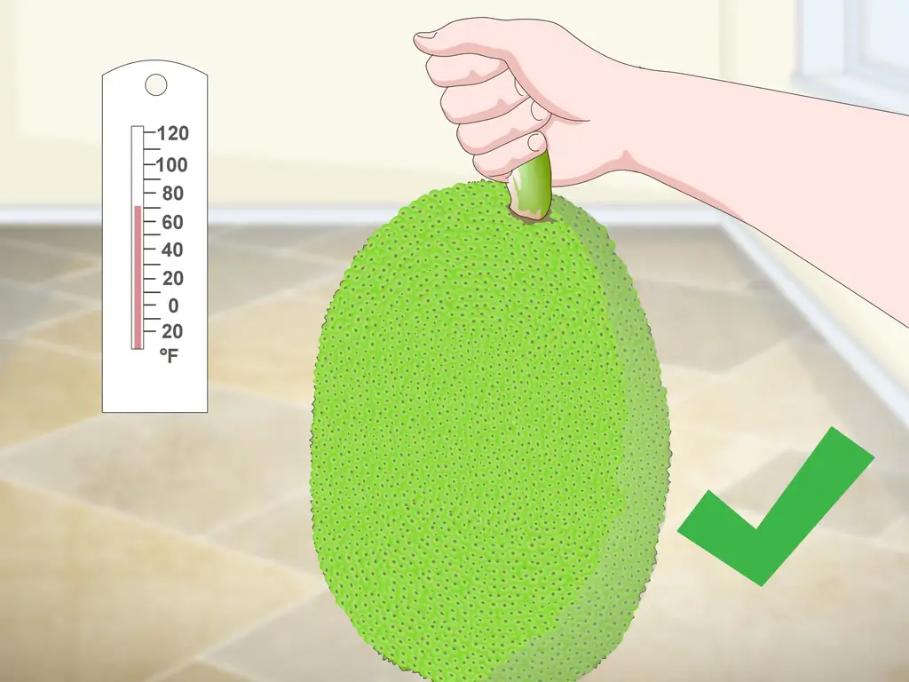 3 способа купить джекфрут