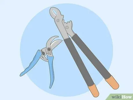 Обрезка виноградных лоз на зиму, шаг 2