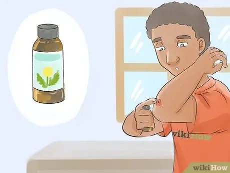 Сбор и использование корней одуванчика Шаг 17