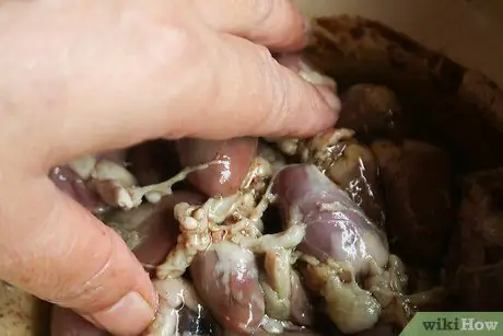 Приготовить куриное сердце, шаг 2