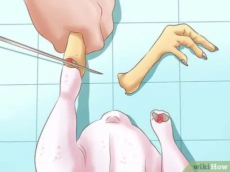 Разделка курицы Шаг 2