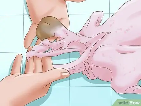 Разделка курицы Шаг 5