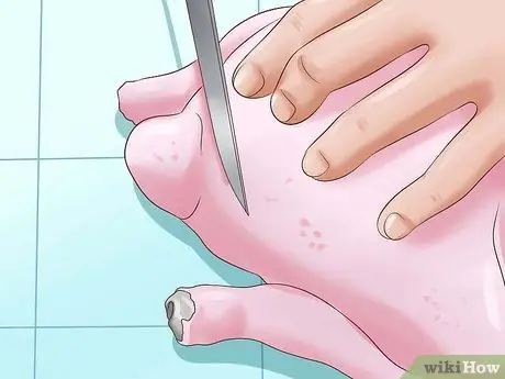 Разделка курицы Шаг 7