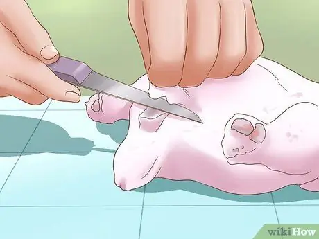 Разделка курицы Шаг 8