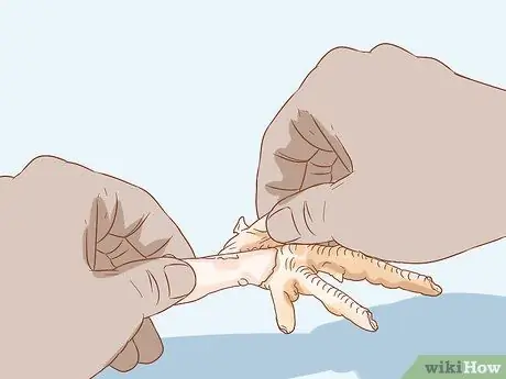 Ешьте куриные ножки, шаг 4