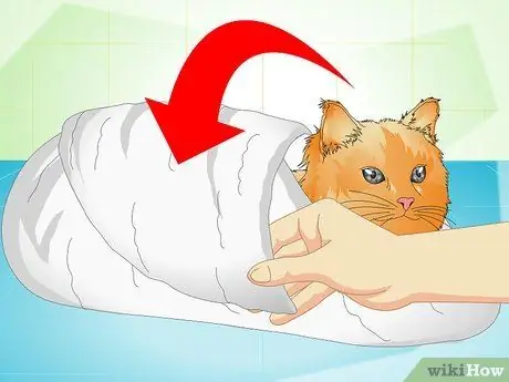 Доставить кошкам лекарства для ушей Шаг 8