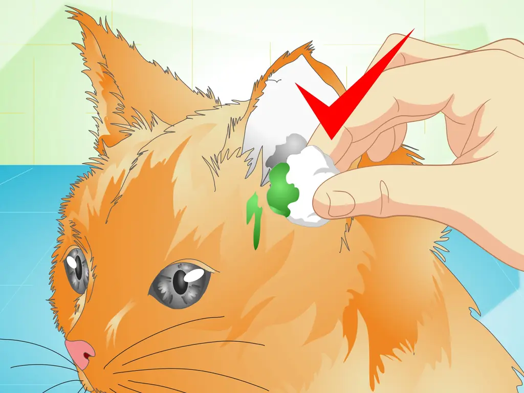 Как давать кошкам лекарства для ушей: 13 шагов (с иллюстрациями)