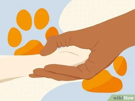 Уговорите родителей позволить вам завести крысу Шаг 1