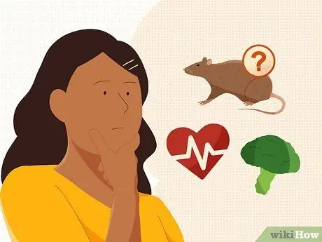 Уговорите родителей позволить вам завести крысу Шаг 4