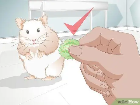 Обрезать ногти хомяка Шаг 12