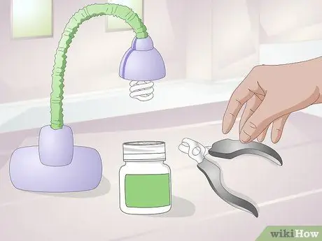 Обрезать ногти хомяка, шаг 6